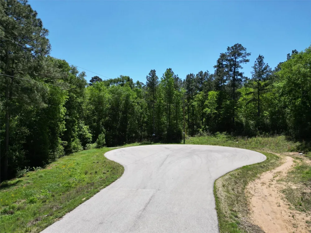 Pyrite Court Huntsville, TX 77340