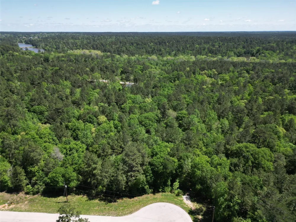 Pyrite Court Huntsville, TX 77340