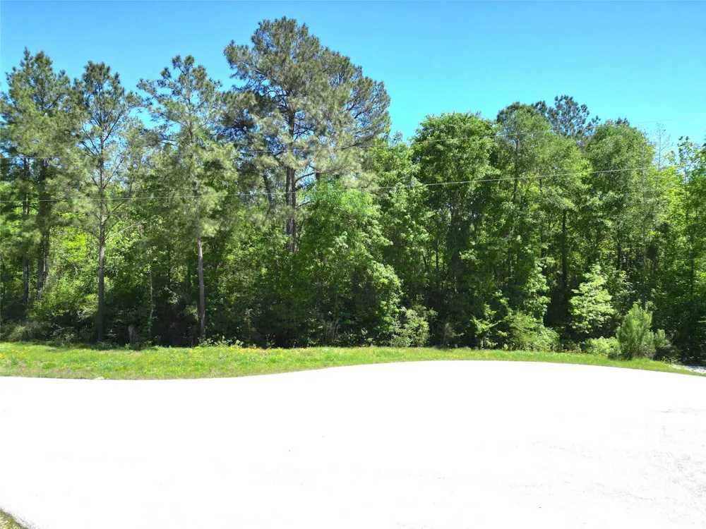 Pyrite Court Huntsville, TX 77340