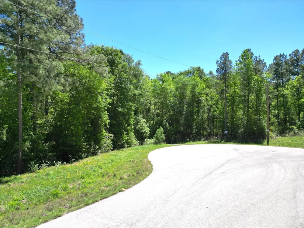 Pyrite Court Huntsville, TX 77340