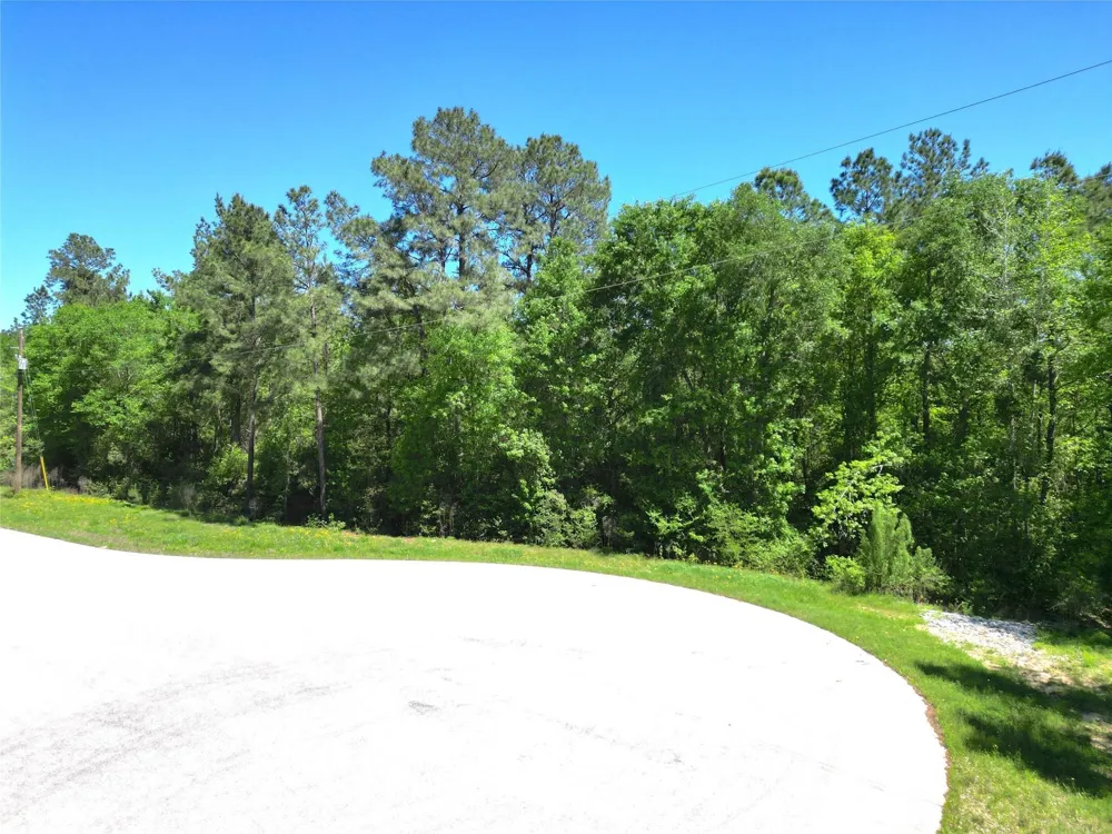 Pyrite Court Huntsville, TX 77340