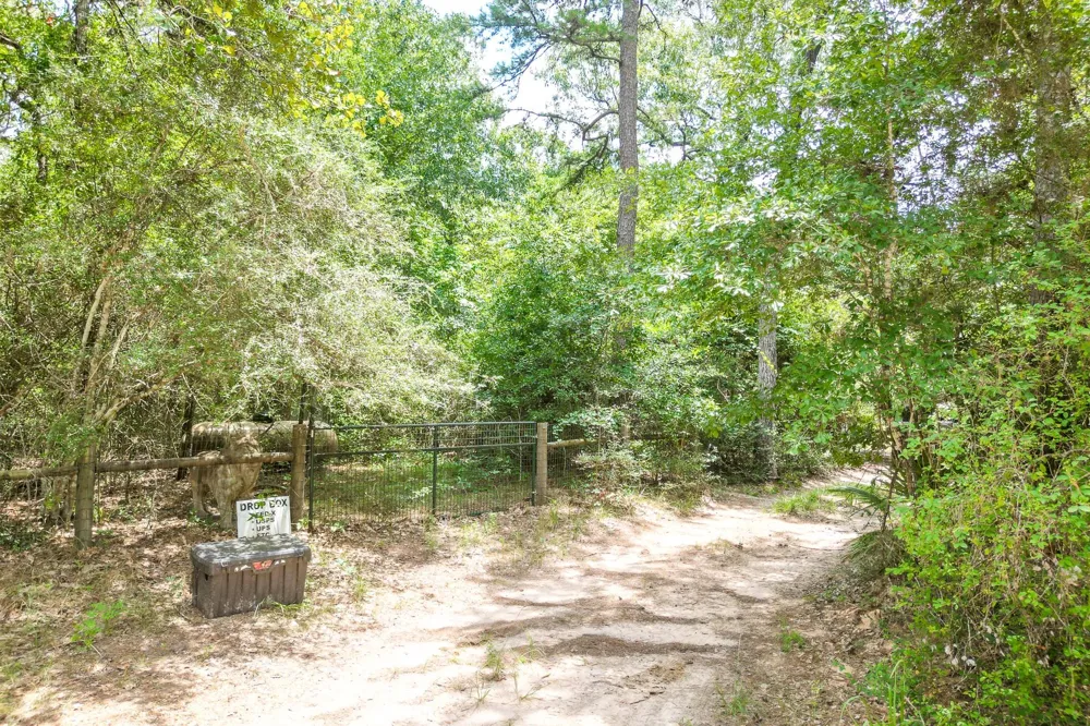 8464 Carolyn Court Plantersville, TX 77363