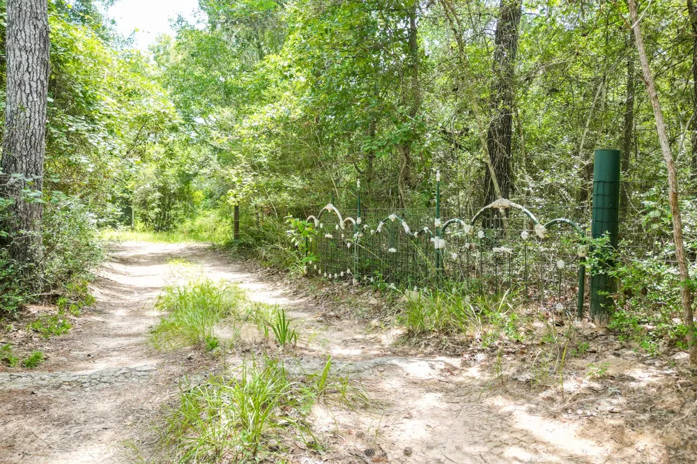 8464 Carolyn Court Plantersville, TX 77363
