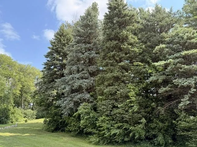 52563 County Road 47 Bingham Lake, MN 56118