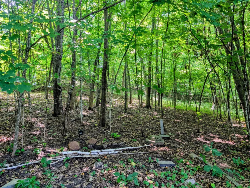 22297 County 38 Long Prairie, MN 56347