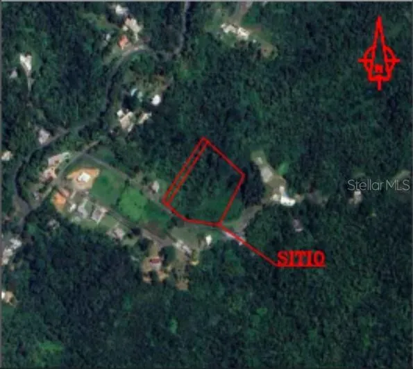 CARR 797 Aguas Buenas, PR 00703