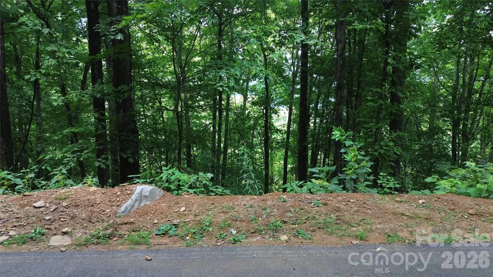 7 White Birch Court Black Mountain, NC 28711