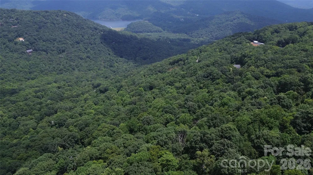 7 White Birch Court Black Mountain, NC 28711