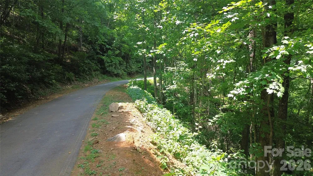 7 White Birch Court Black Mountain, NC 28711