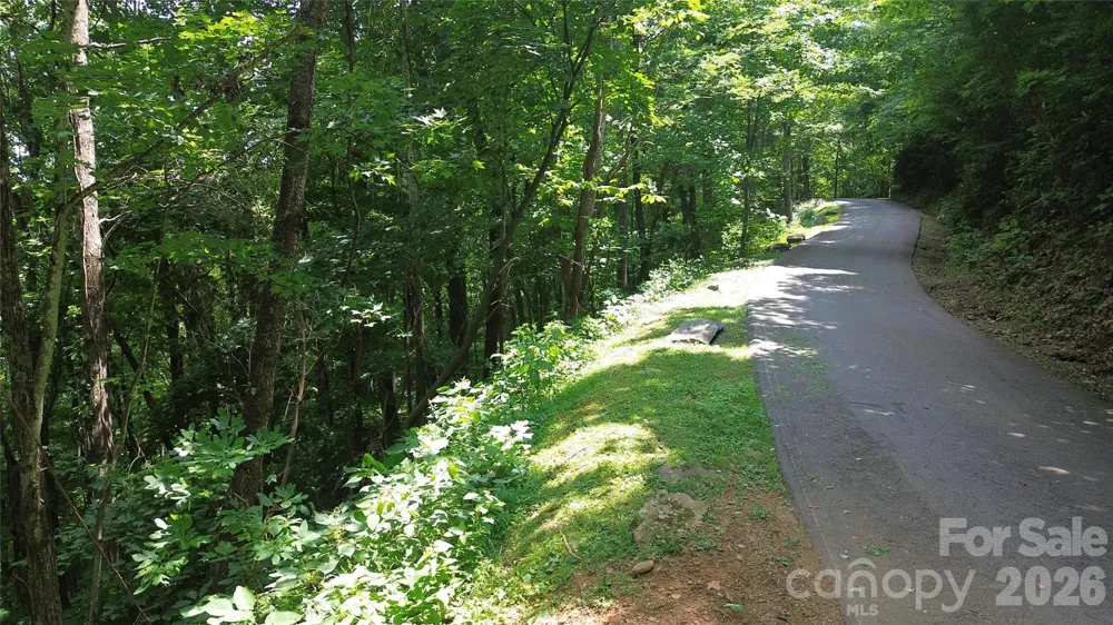 7 White Birch Court Black Mountain, NC 28711