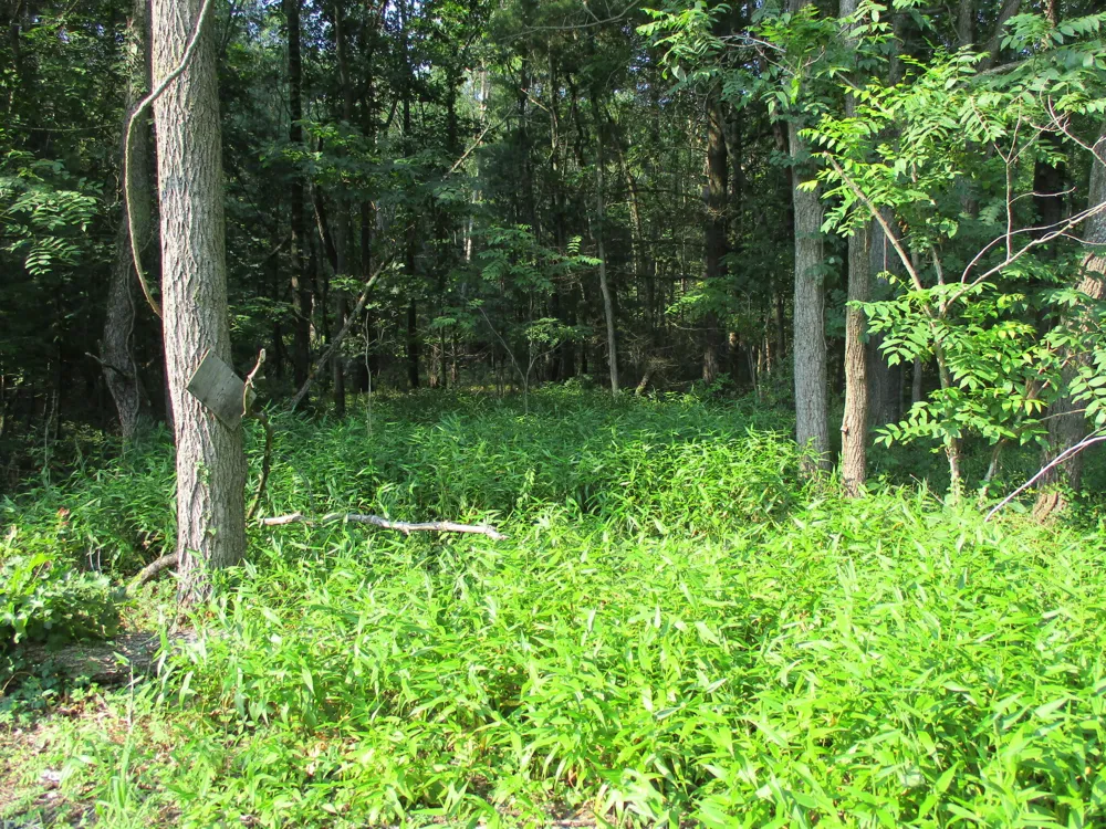 105th Avenue #Parcel 05 Pullman, MI 49450