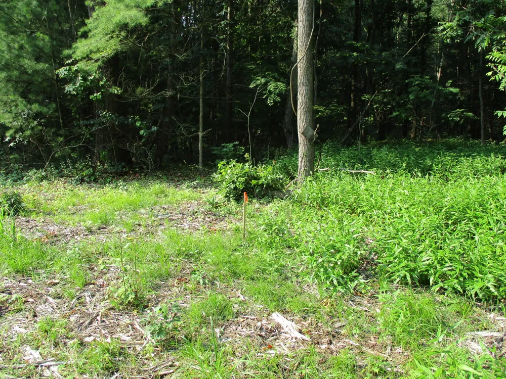 105th Avenue #Parcel 05 Pullman, MI 49450