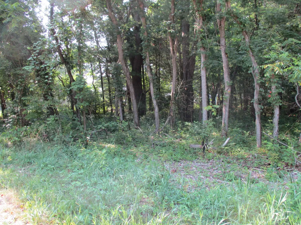 105th Avenue #Parcel 05 Pullman, MI 49450