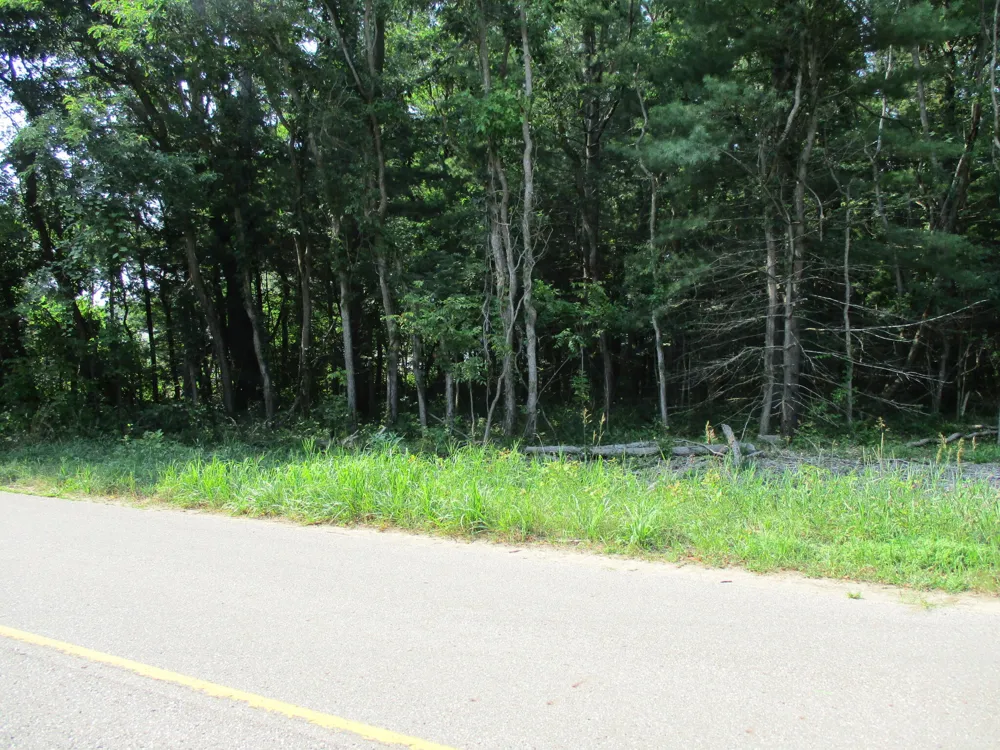 105th Avenue #Parcel 05 Pullman, MI 49450