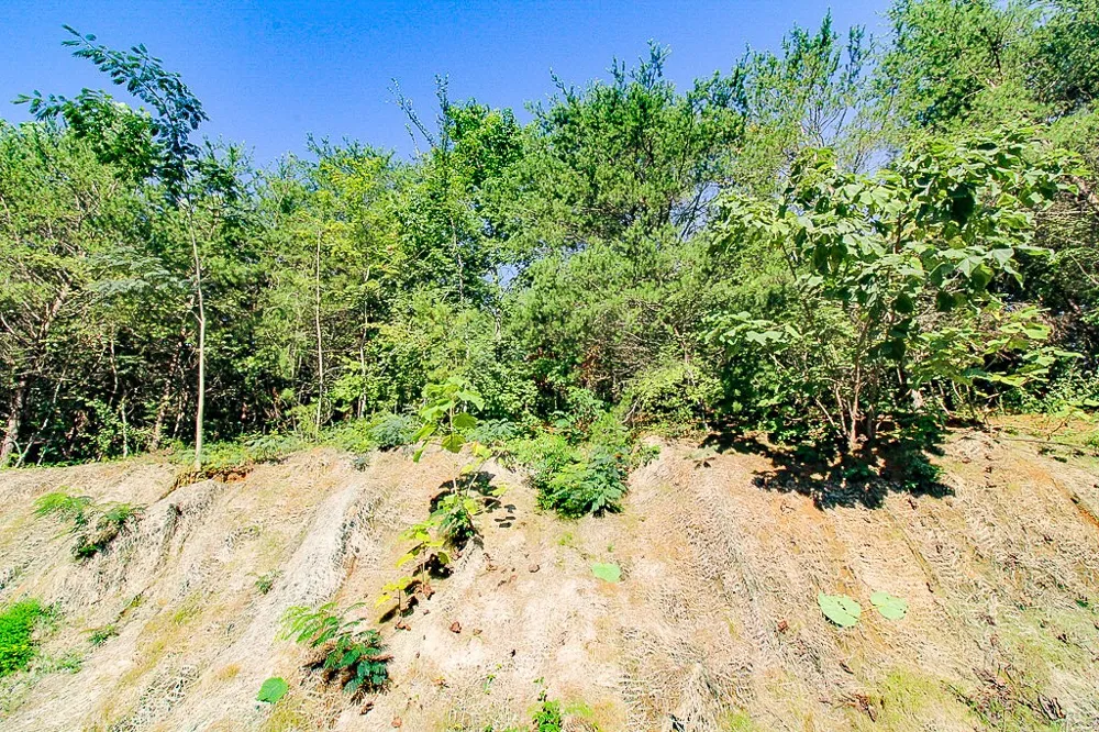 7131 Remagen Ln Knoxville, TN 37920