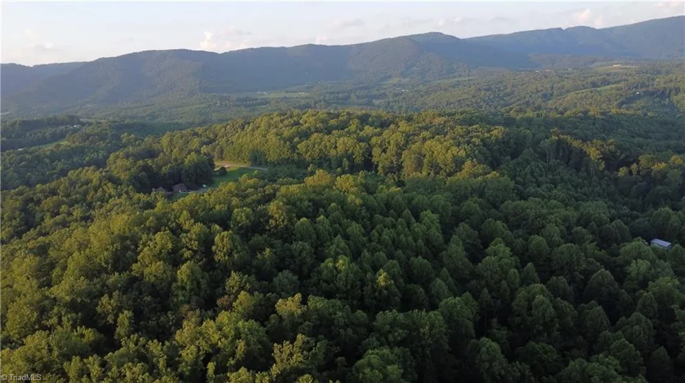 4749 Wards Gap Road Cana, VA 24317