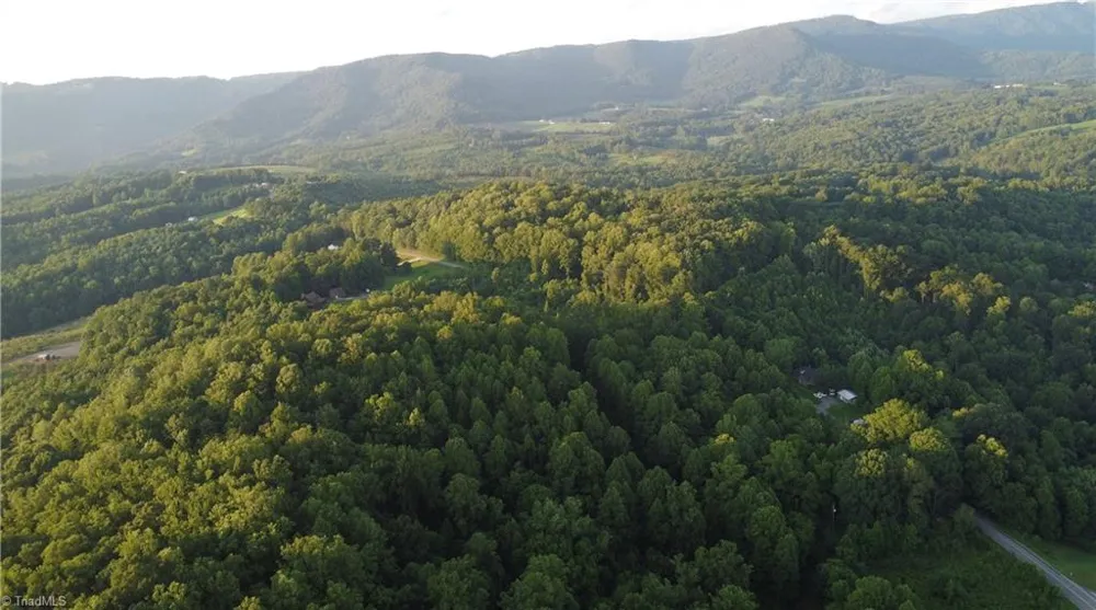 4749 Wards Gap Road Cana, VA 24317