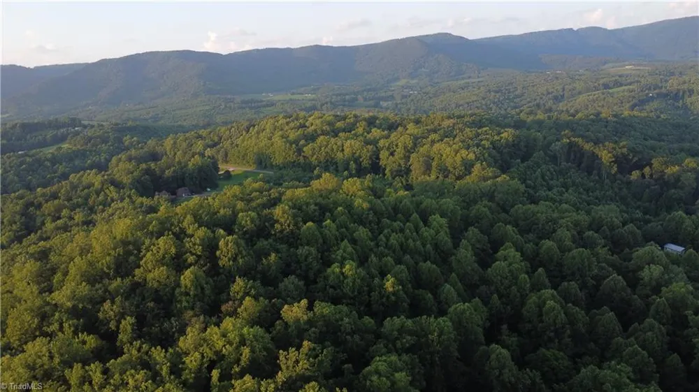 4749 Wards Gap Road Cana, VA 24317