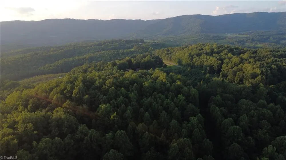 4749 Wards Gap Road Cana, VA 24317