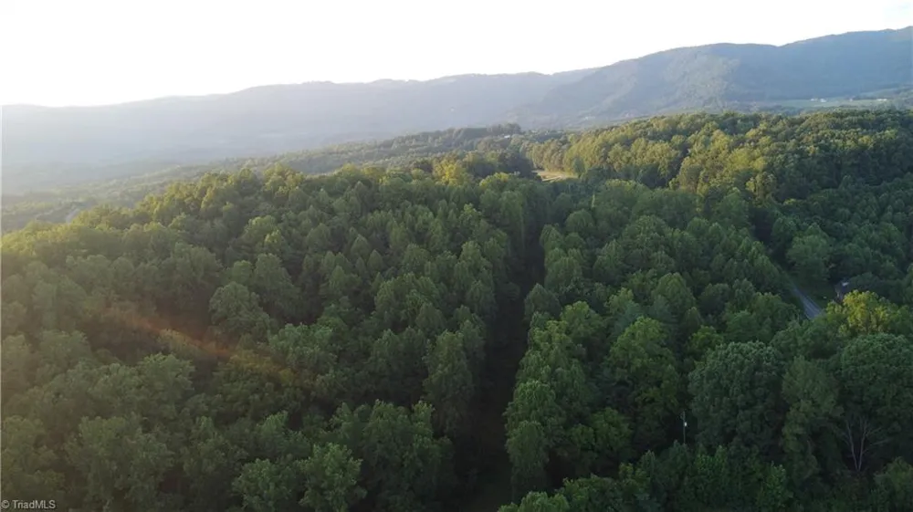 4749 Wards Gap Road Cana, VA 24317