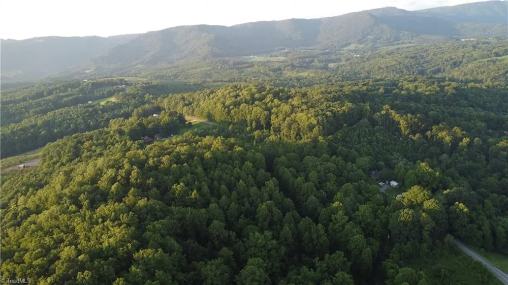 4749 Wards Gap Road Cana, VA 24317