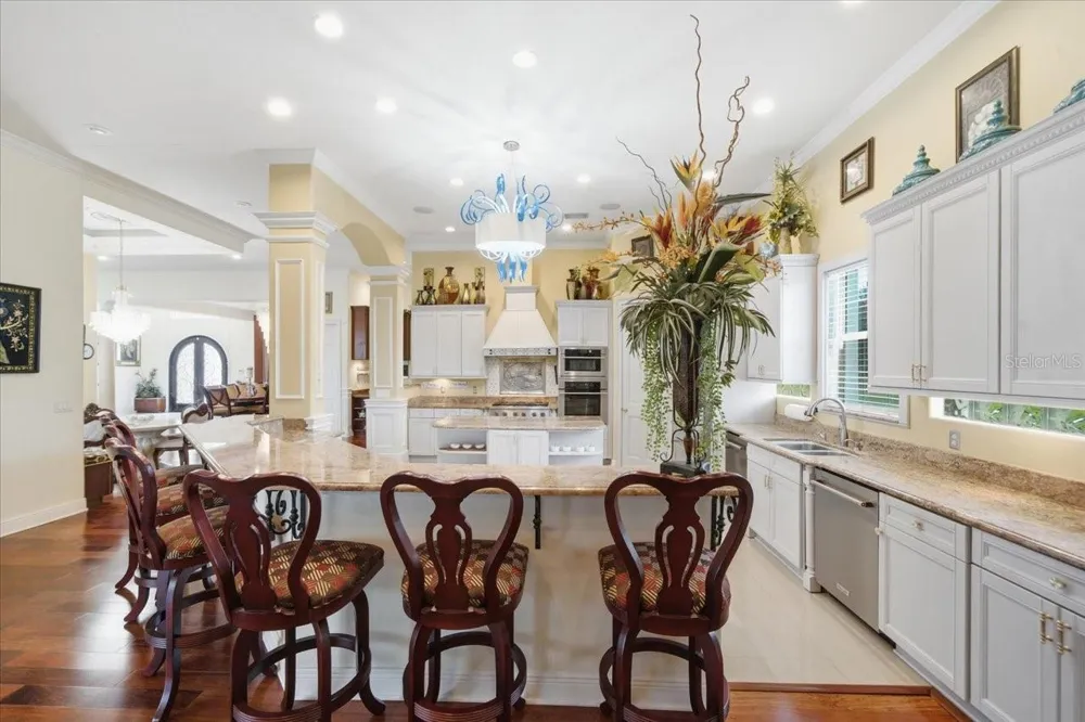 19402 JACOBS RIVER RUN Lutz, FL 33559