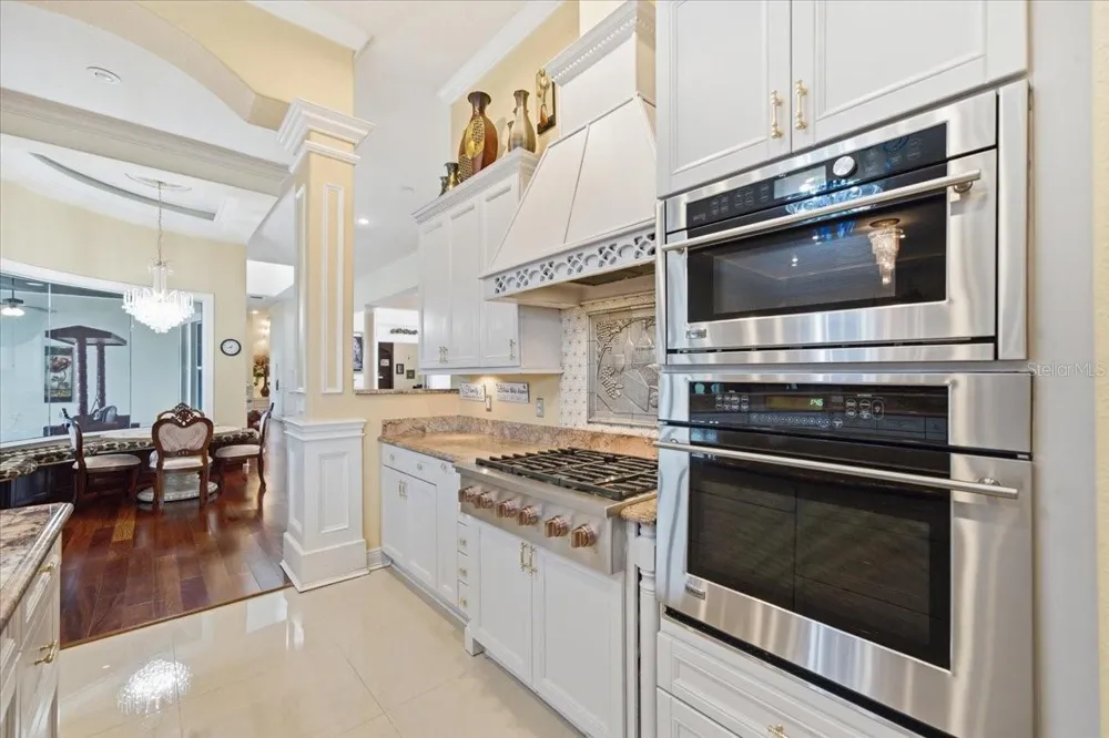 19402 JACOBS RIVER RUN Lutz, FL 33559