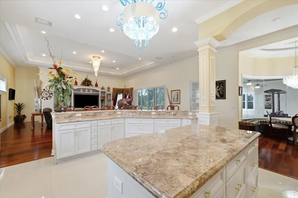 19402 JACOBS RIVER RUN Lutz, FL 33559