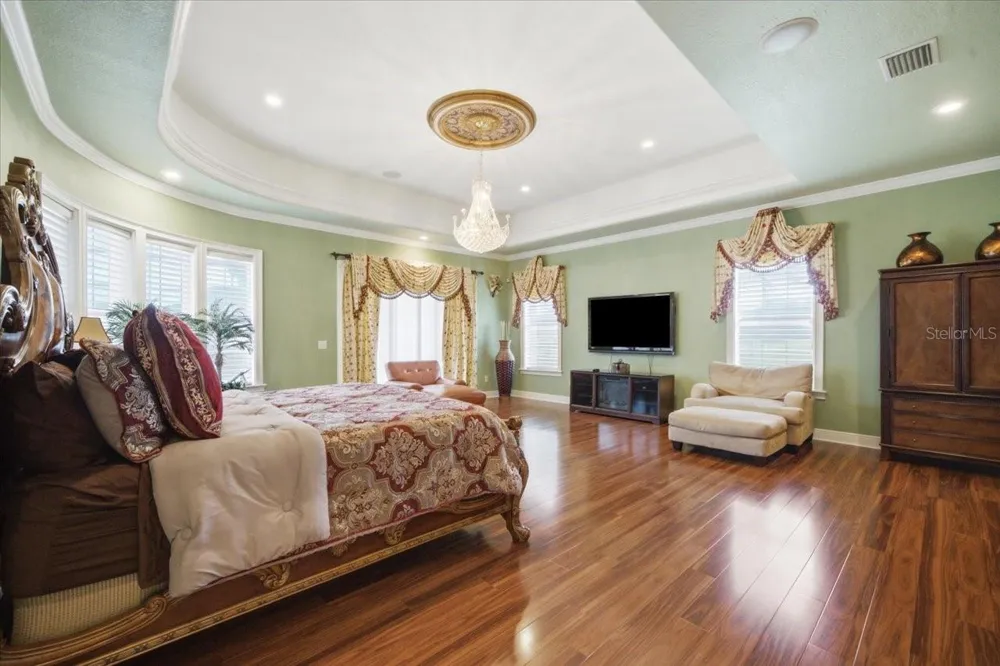 19402 JACOBS RIVER RUN Lutz, FL 33559