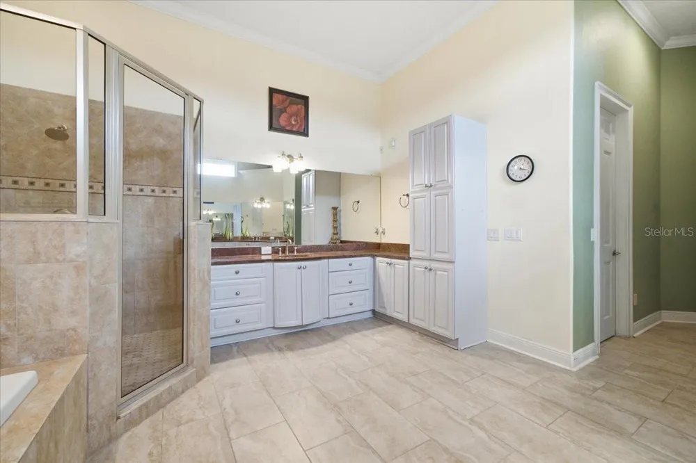 19402 JACOBS RIVER RUN Lutz, FL 33559