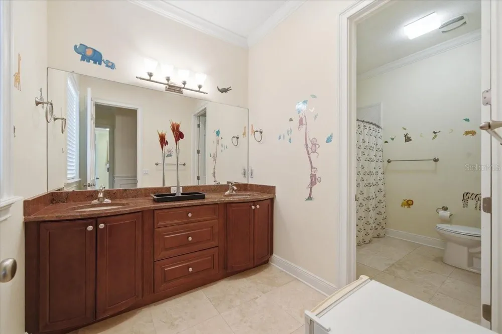 19402 JACOBS RIVER RUN Lutz, FL 33559