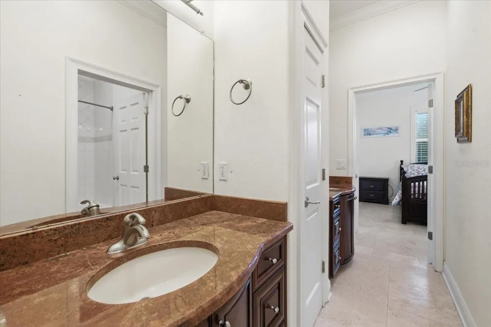 19402 JACOBS RIVER RUN Lutz, FL 33559
