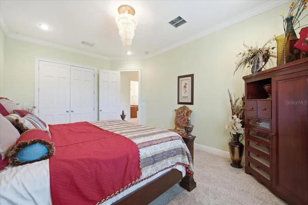 19402 JACOBS RIVER RUN Lutz, FL 33559