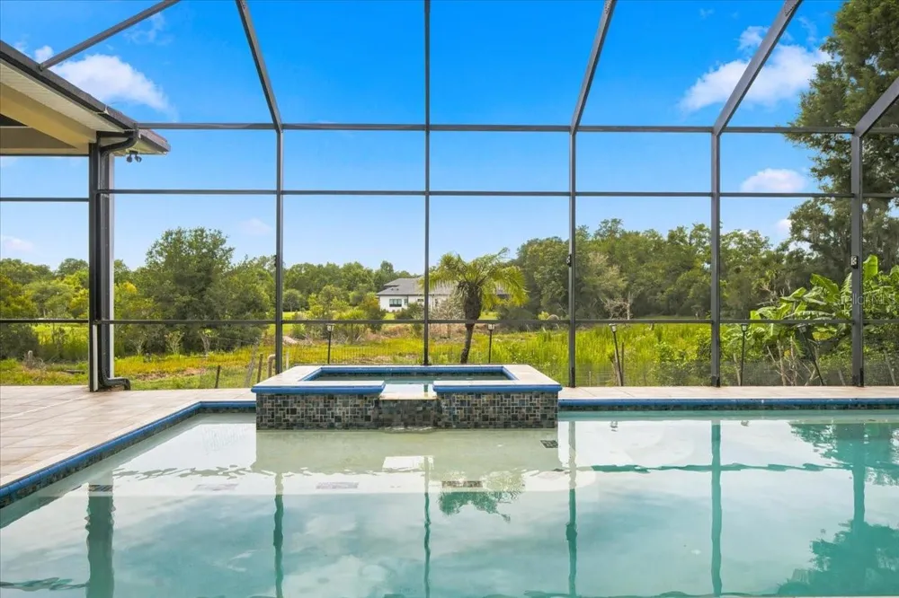 19402 JACOBS RIVER RUN Lutz, FL 33559