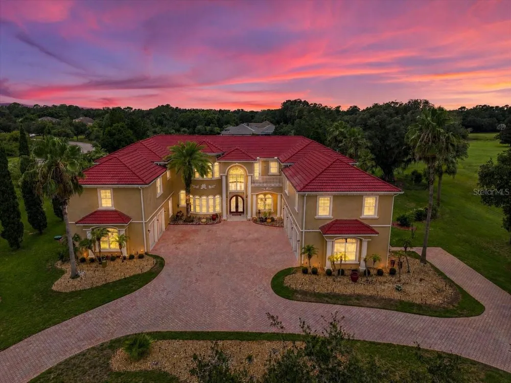 19402 JACOBS RIVER RUN Lutz, FL 33559