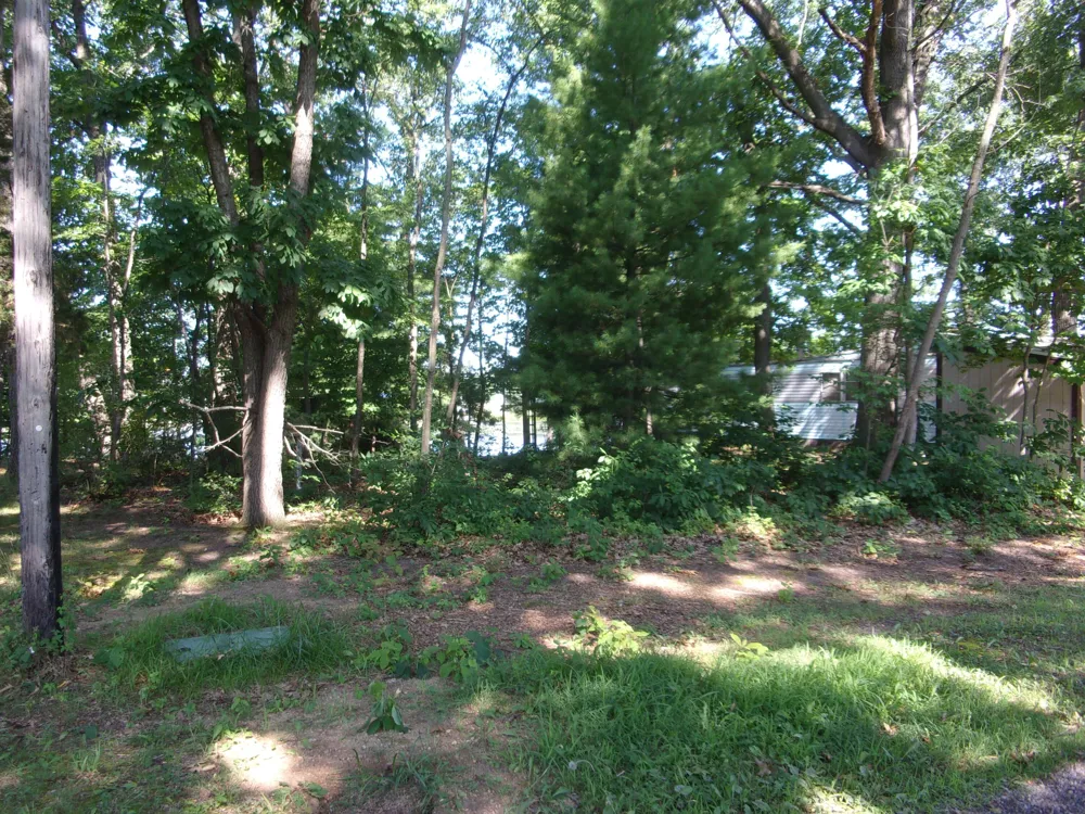 58978 Lakeshore Drive Colon, MI 49040