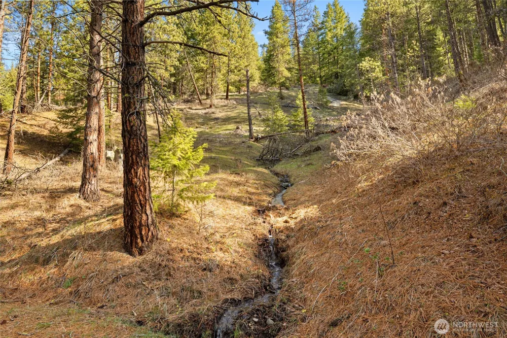 5910 Teanaway Road Cle Elum, WA 98922
