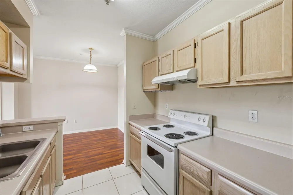 5612 PINNACLE HEIGHTS CIRCLE #312 Tampa, FL 33624