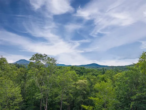 10 Lone Panther Ridge