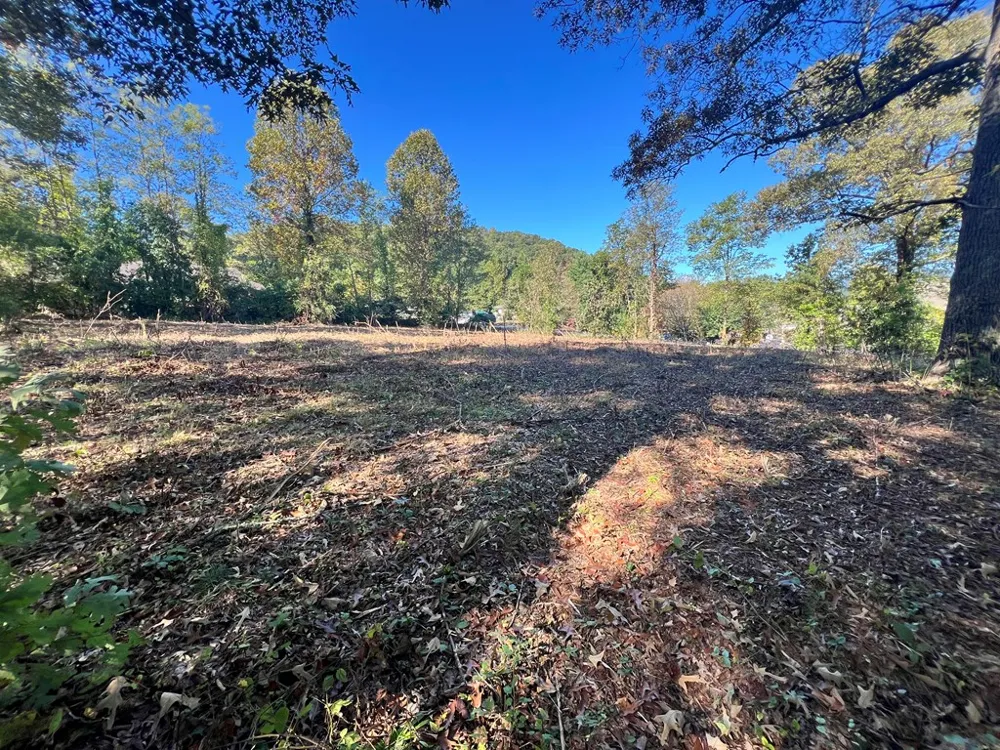 Brendle St Bryson City, NC 28713