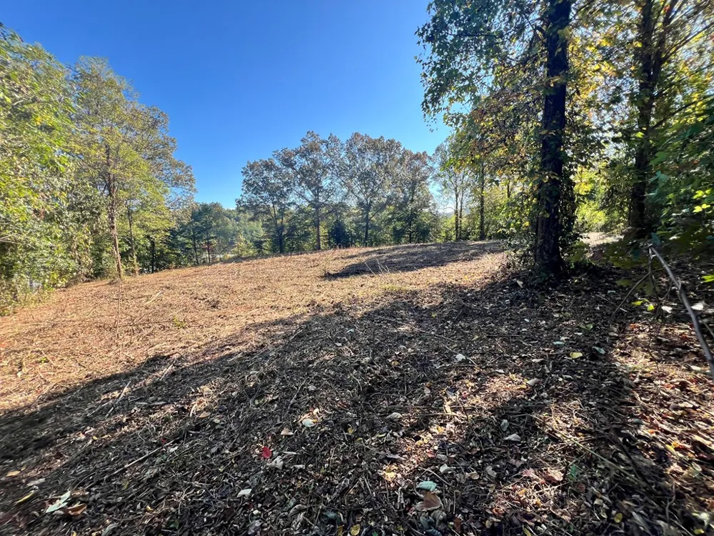 Brendle St Bryson City, NC 28713
