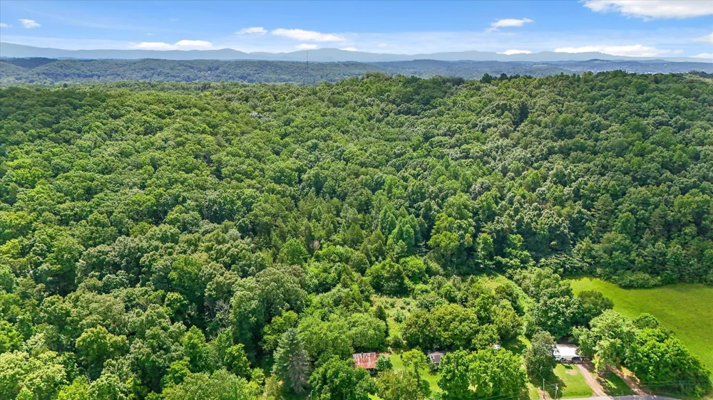 5904 Candies Creek Ridge Road Charleston, TN 37310