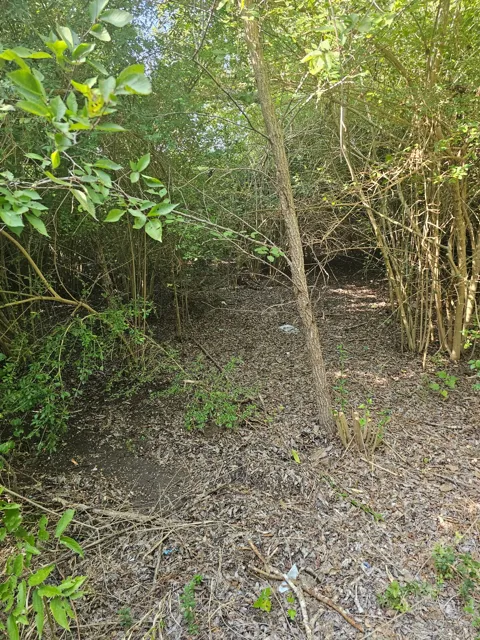 215 Houston School Road