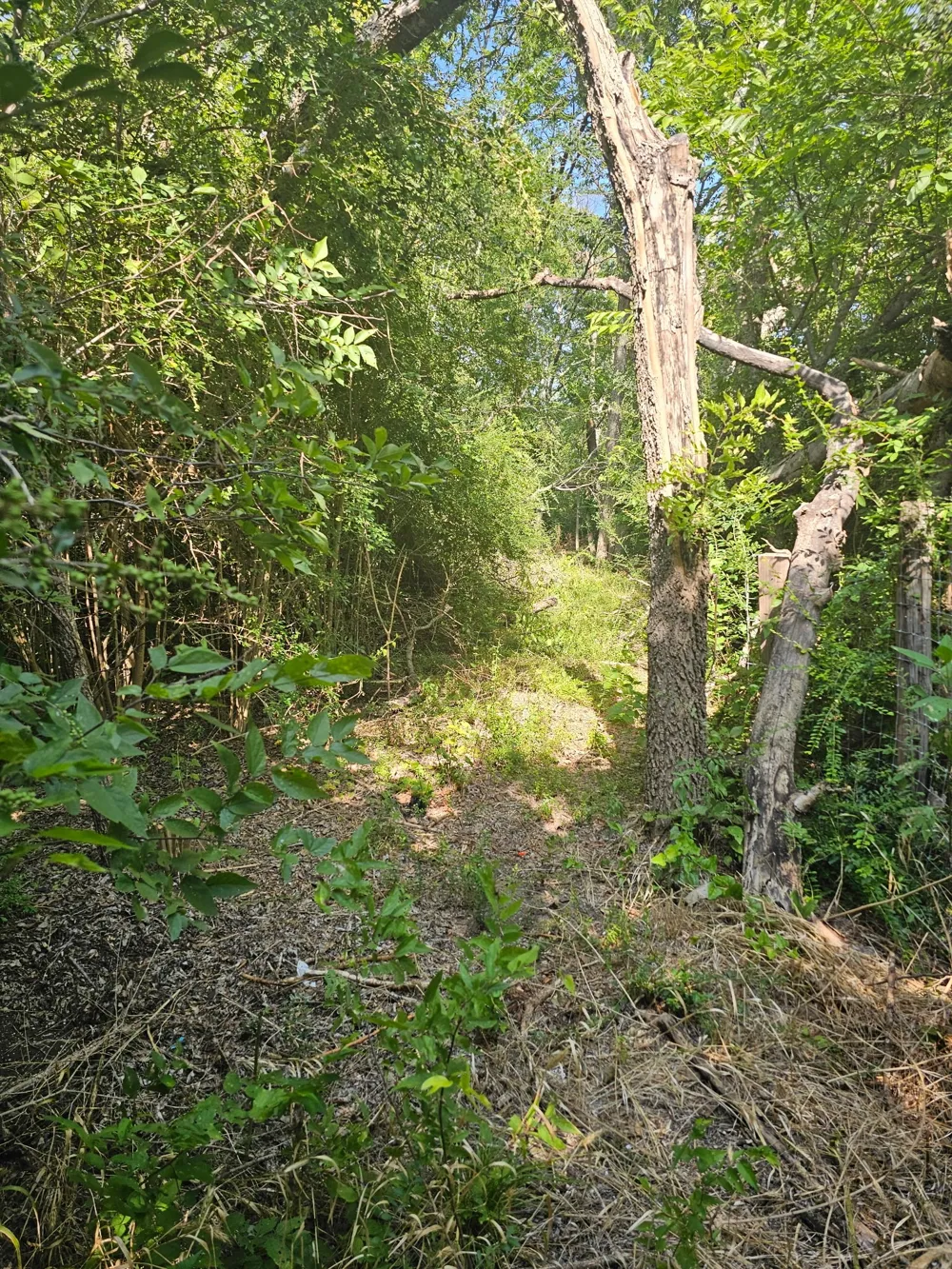 215 Houston School Road Lancaster, TX 75146