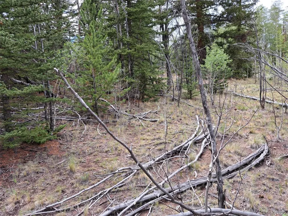 6242 Remington Road Como, CO 80432