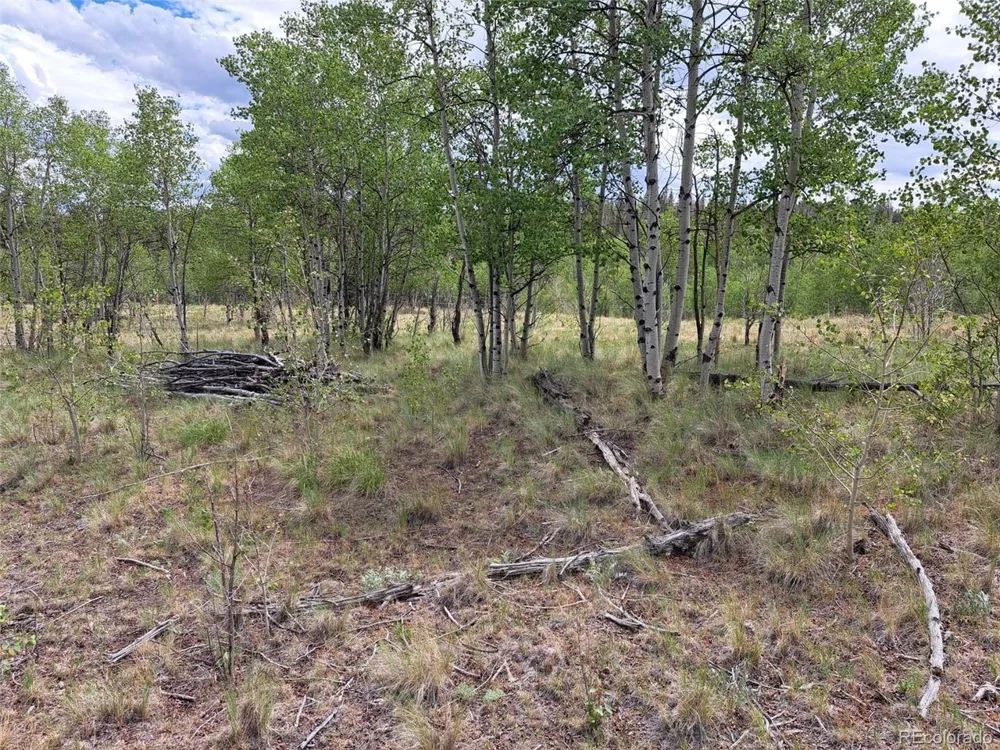6242 Remington Road Como, CO 80432