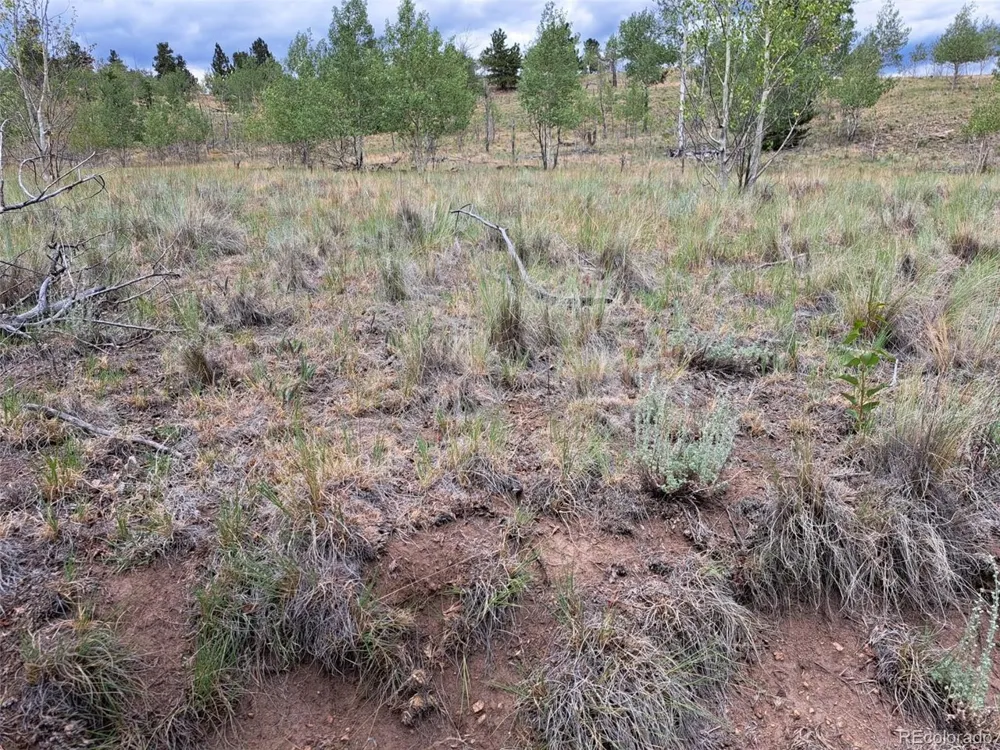 6242 Remington Road Como, CO 80432