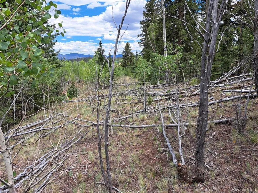 6242 Remington Road Como, CO 80432