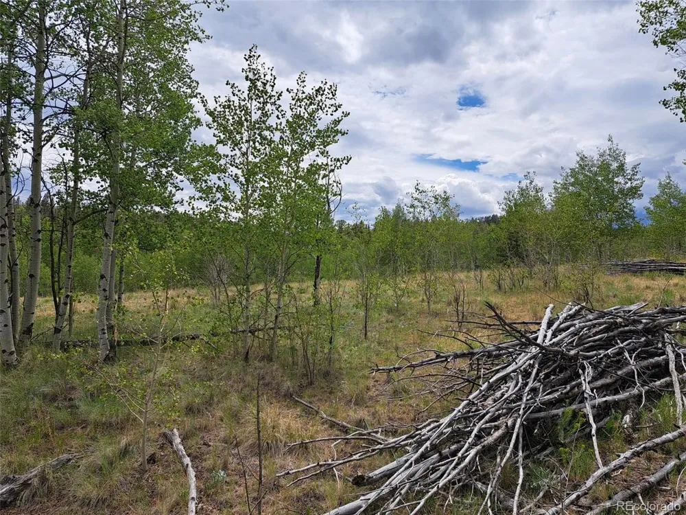 6242 Remington Road Como, CO 80432