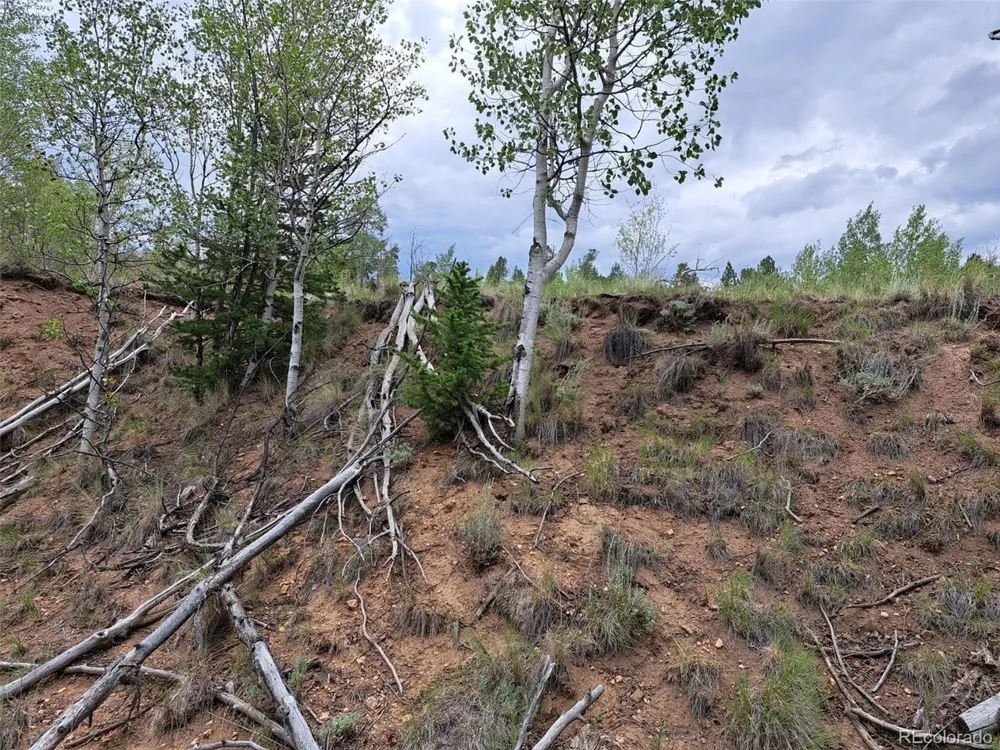 6242 Remington Road Como, CO 80432